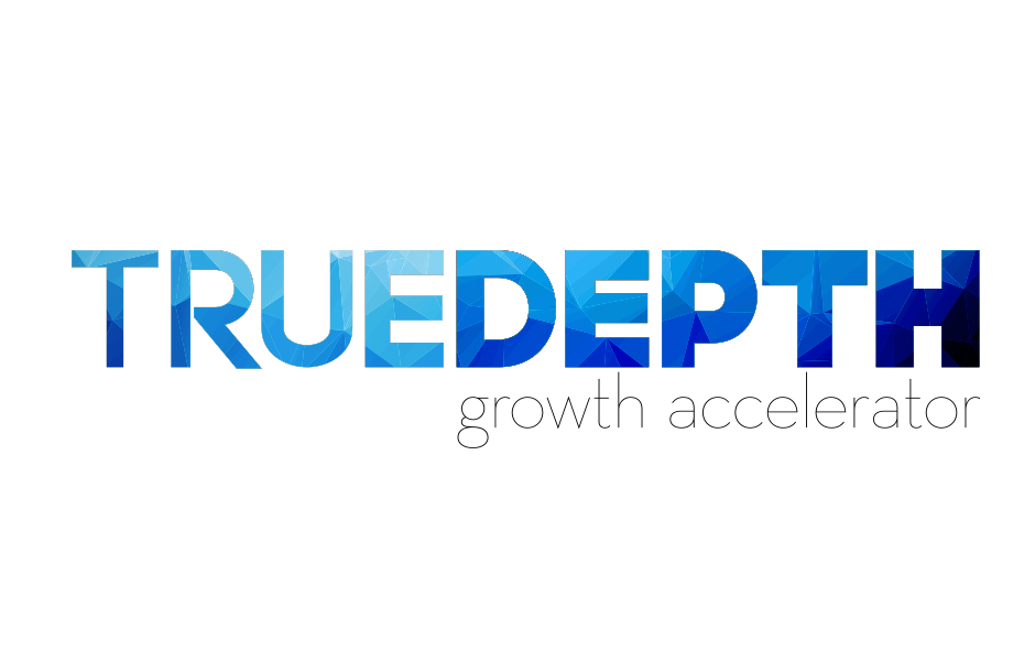 Curve Logo Design True Depth Growth Accelerator